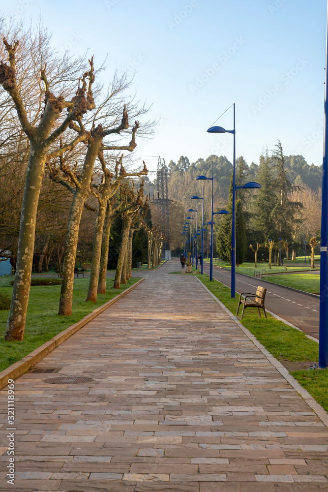 Pathways in the park to exercise, walking and relax