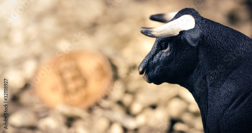 Fototapeta Naklejka Na Ścianę i Meble -  Bullish bitcoin price rise concept. Bull market and rising value on digital gold