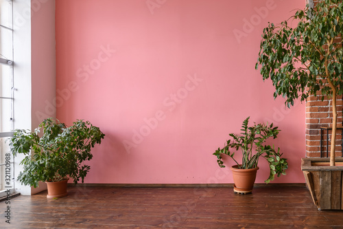 Room interior with pink stucco wall and wooden floor