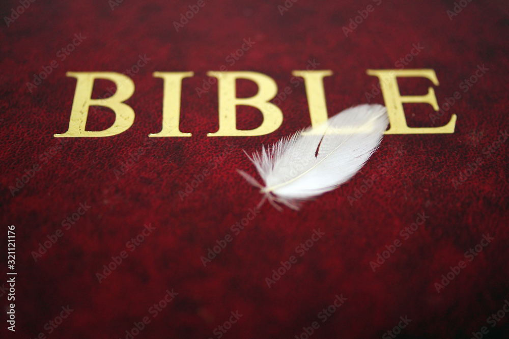 White bird feather on red bible book cover.