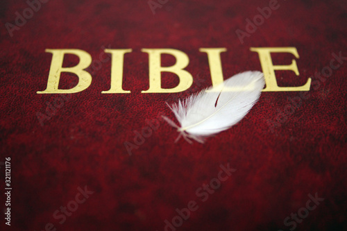 White bird feather on red bible book cover.