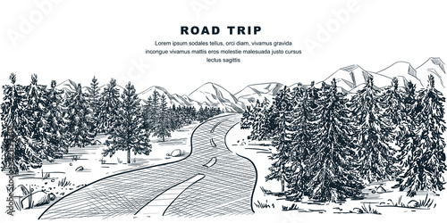 Road through pine forest. Vector sketch landscape illustration. Adventures in mountains and travel hand drawn background