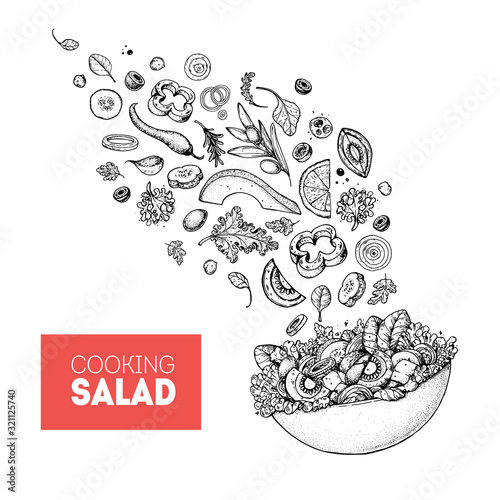 Salad sketch. Food illustration. Cooking salad design. Food menu elements. Hand drawn. Flying salad concept. Vector illustration on white background. Healthy and organic food. Vegan menu.