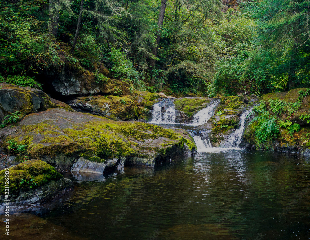 Fototapeta premium Remarkable Lower Little Mashel Falls cascading into a moss covered rocky surface leading to a small pool of water in the creek at the Charles Pack Forest during the summer in Pierce County Washington 