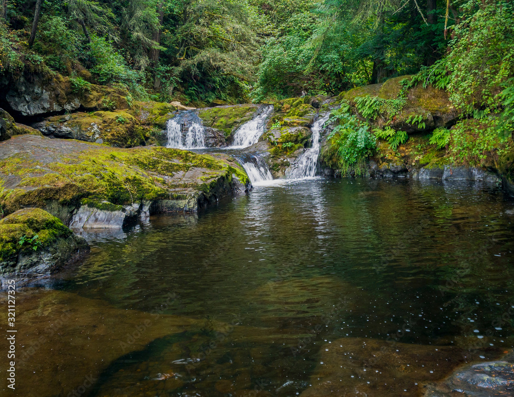 Remarkable Lower Little Mashel Falls cascading into a moss covered rocky surface leading to a small pool of water in the creek at the Charles Pack Forest during the summer in Pierce County Washington Remarkable Lower Little Mashel Falls cascading into a moss covered rocky surface leading to a small pool of water in the creek at the Charles Pack Forest during the summer in Pierce County Washington