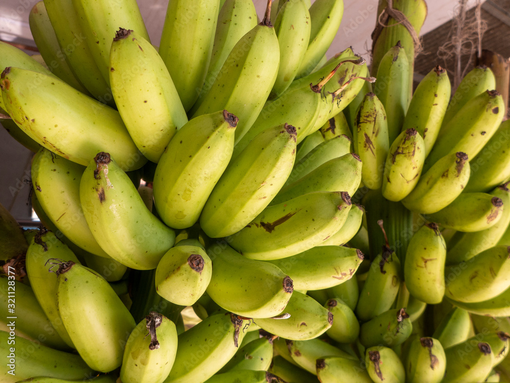Bananen an einem Obst und Gemüsestand an einer Straße in der Nähe von Puerto Viejo in Costa Rica.