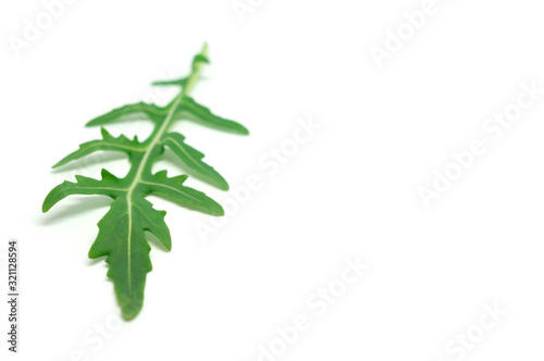 green arugula on a white background ingredient for salad