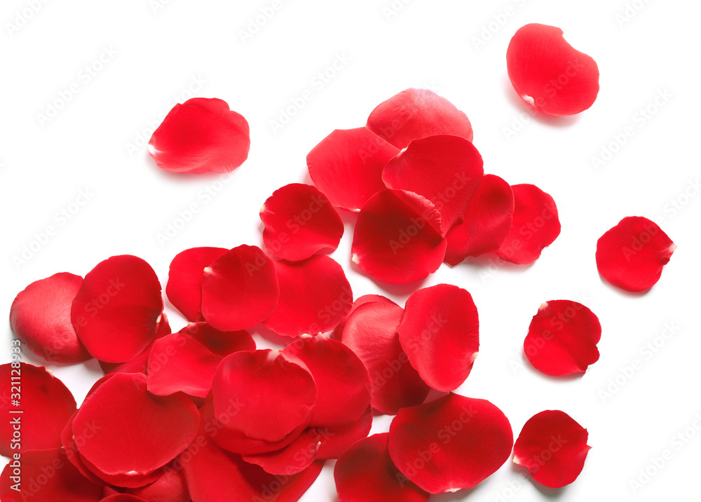 Fresh red rose petals on white background, top view Fresh red rose petals on white background, top view