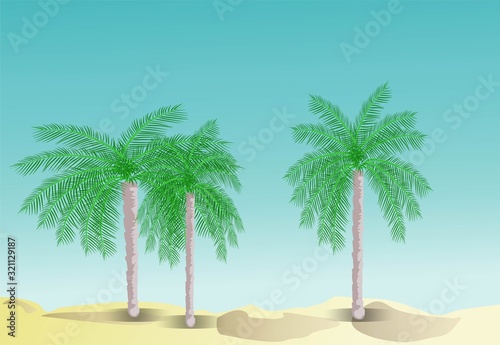 Palm trees on the beach. Summer holidays in the tropics. Cartoon vector illustration