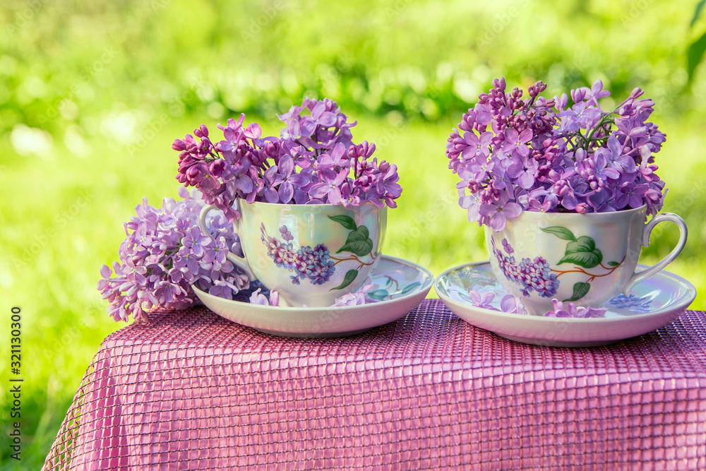 Two porcelain cups with lilacs in the garden, Sunny spring background Two porcelain cups with lilacs in the garden, Sunny spring background