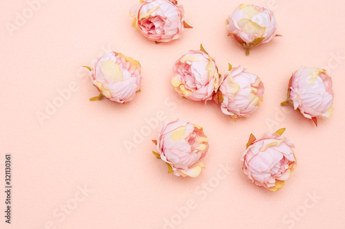 Floral and soft background, artificial cream peony buds on a pink background