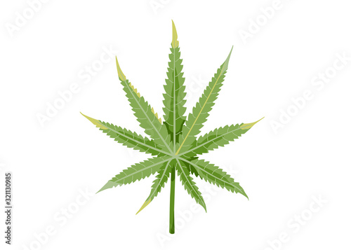 Green cannabis leaf isolated on white background. Vector illustration of hemp in simple flat cartoon trendy style