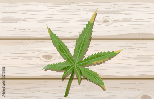 Single cannabis leaf on wood background. Hemp leaves on wooden tables. Marijuana vector illustration