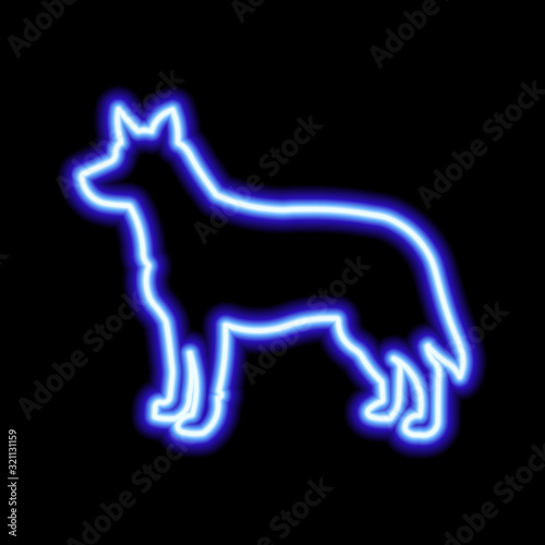 Blue neon sign of dog on black background