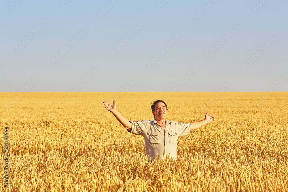Satisfied mature farmer touching with care his ripe wheat field Satisfied mature farmer touching with care his ripe wheat field
