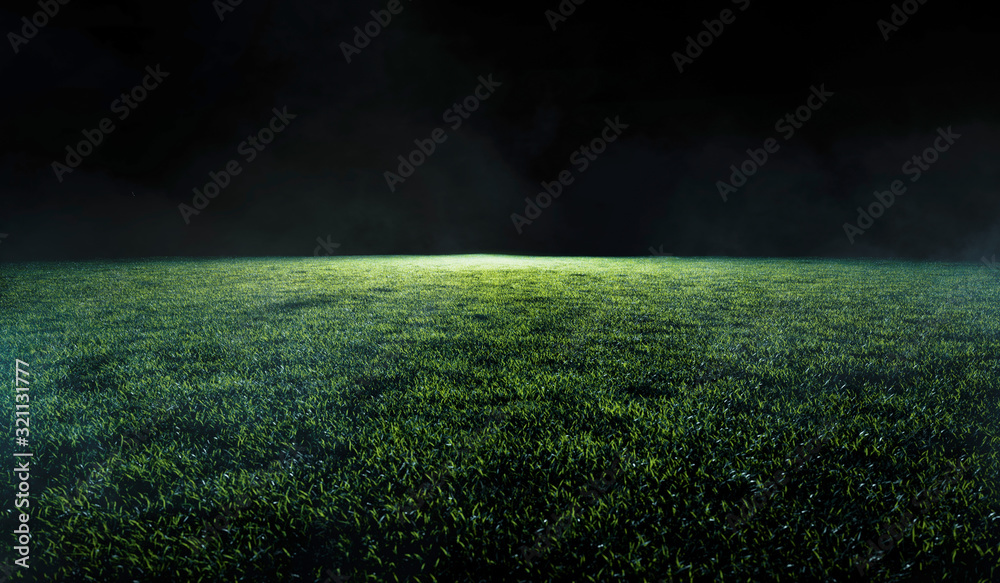 Low angle view across a soccer or sports field - obrazy, fototapety, plakaty 