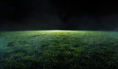 Low angle view across a soccer or sports field