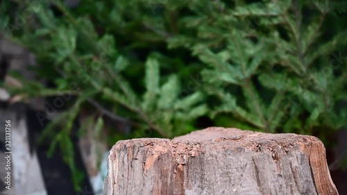 Wallpaper Mural Lumberjack dropping his steel ax on a log and stays stuck. Torontodigital.ca