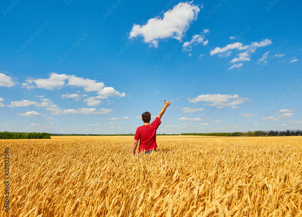 happy farmer, businessman, standing in wheat field with his hands and thumbs up happy farmer, businessman, standing in wheat field with his hands and thumbs up