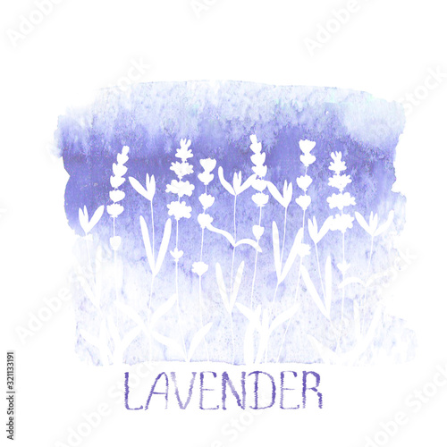 Lavender field pattern on purple stain isolated on white background. Watercolour hand drawn flowers.