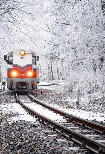 Winter forest scene with sn...