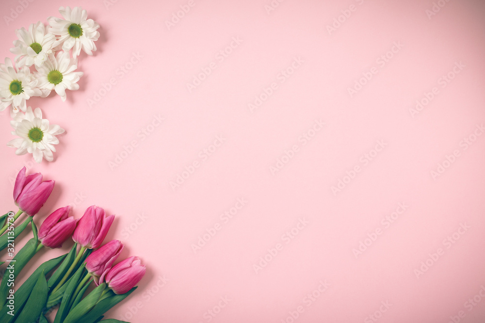 Spring tulips lie on a beautiful pink background. Background for International Women's Day.