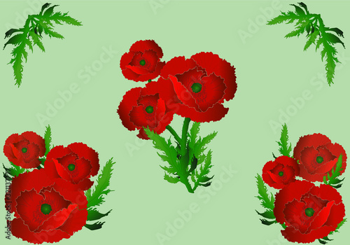 Bouquet of red Rose background. Vector illustration. Flowers Collectio