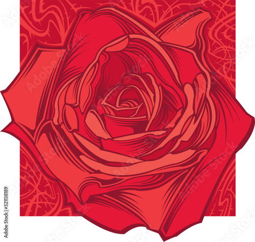 Rose illustration
