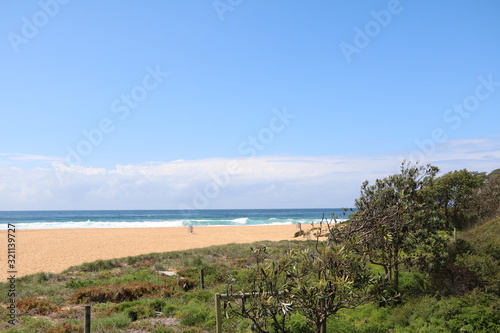 Avoca Beach nearby Sydney  New South Wales Australia