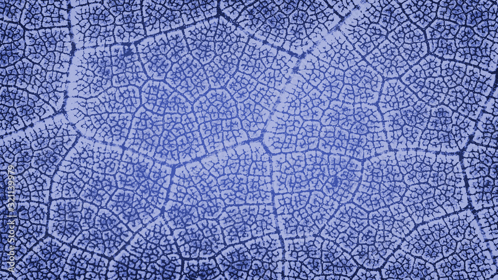 Wallpaper leaf blue desktop landscape