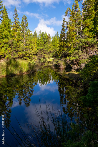 Volcanic landscape of Misterios Negros, Terceira, Azores, Portugal
