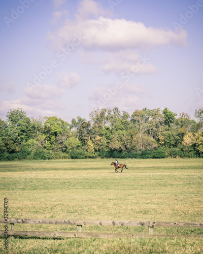 Brown Horse and Rider Running Through Green Field