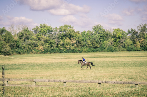 Brown Horse and Rider Trotting Through Green Field