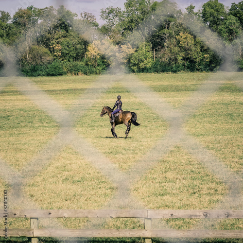 Brown Horse Running in Field and Viewed Through the Diamonds of a Chain-link Fence