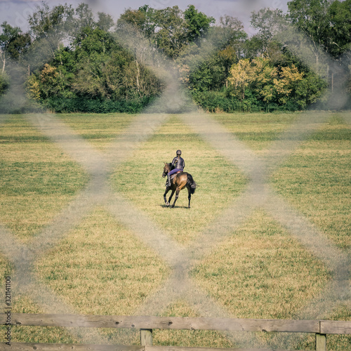  Running Brown Horse and Rider Framed in Diamond of a Chain-link Fence