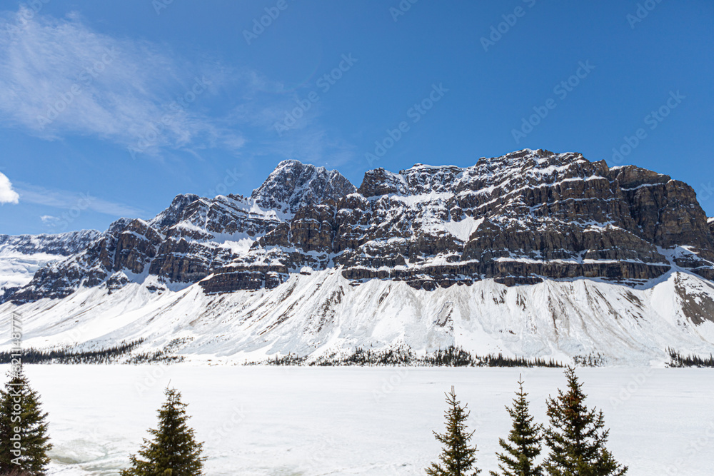 Fototapeta premium winter in the mountains