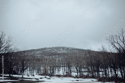 snowy landscape in winter with trees © Victor