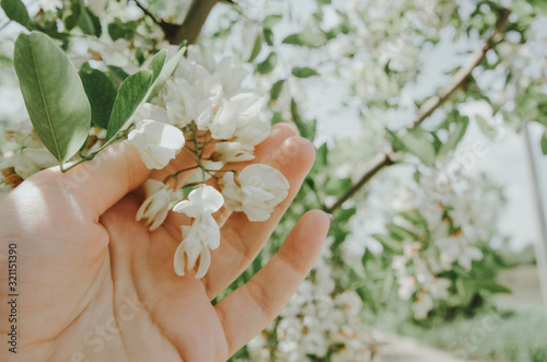 touch the nature