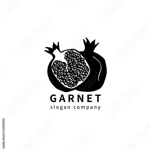 Logo with decoral garnet. Abstract floral emblem, design concept, logotype element. photo
