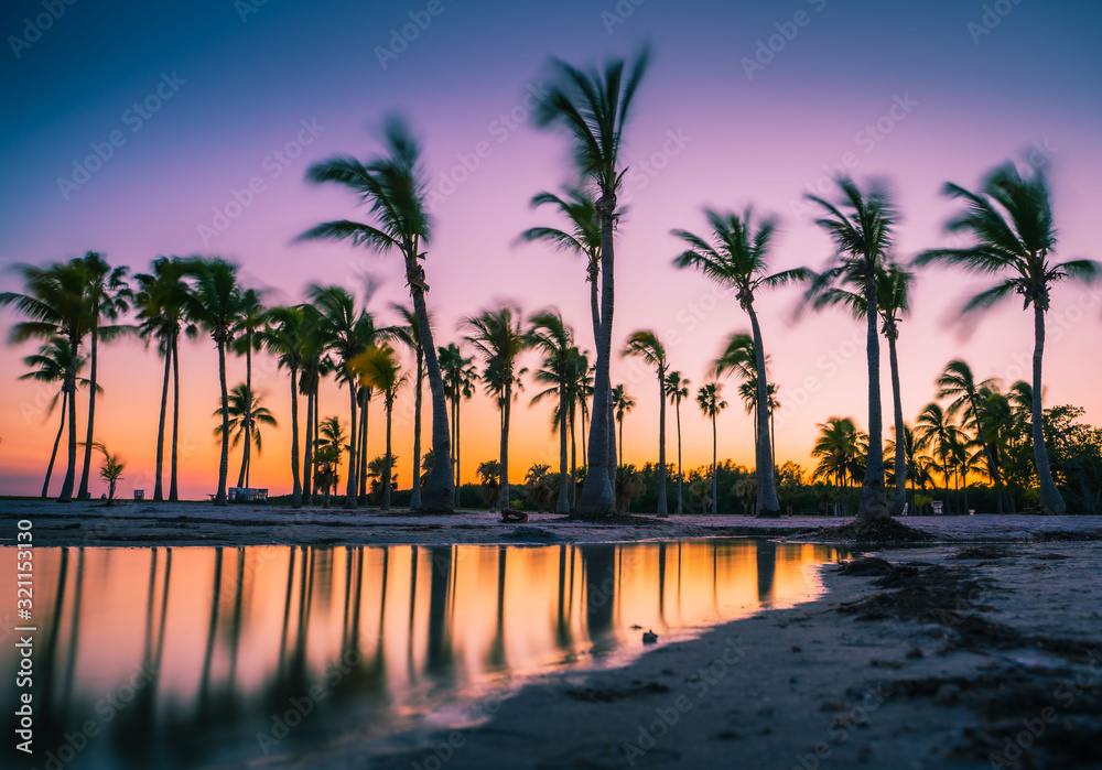 Obraz premium beach sunset tree tropical sea sky pool sunrise lake ocean summer nature sun silhouette landscape hotel