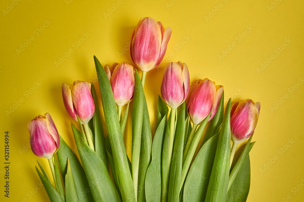 pink tulips on a yellow background, folded into a pyramid. spring card. Macro shot. Valentine's Day. March 8 pink tulips on a yellow background, folded into a pyramid. spring card. Macro shot. Valentine's Day. March 8