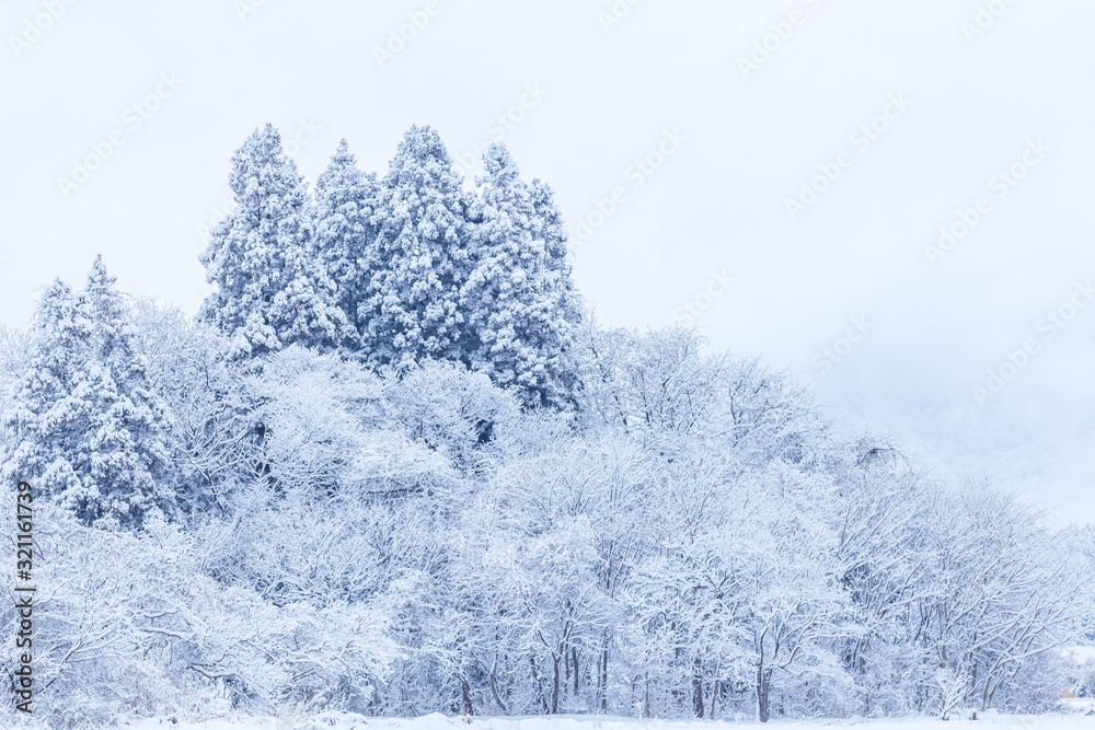 山に降る雪 冬イメージ 秋田県の自然風景 山と森林 山に降る雪 冬イメージ 秋田県の自然風景 山と森林