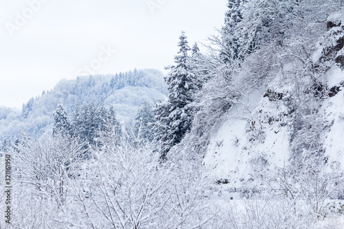山に降る雪 冬イメージ 秋田県の自然風景 山と森林