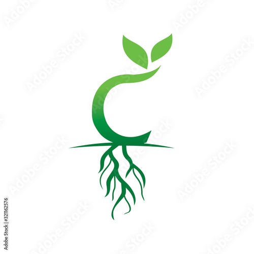 C Seed Garden logo