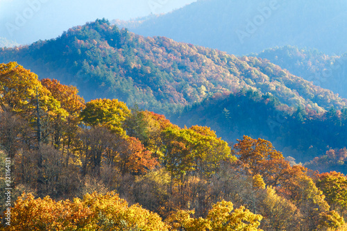 Layered fall colors over The Great Smoky Mountains National Park.