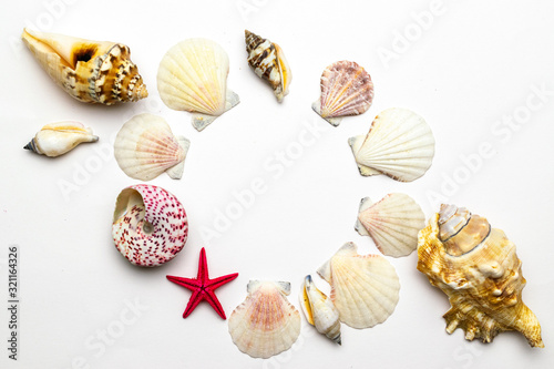 Shells pattern. Trendy natural organic color Sea shell with starfish and shells in shape frame. Summer background. Top view with copy space.