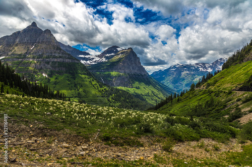 Mountains and Wildflowers of Glacier National Park on the Going-to-the-Sun Road