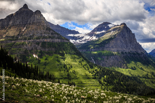 Mountains and Wildflowers of Glacier National Park on the Going-to-the-Sun Road