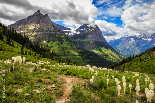 Mountains and Wildflowers of Glacier National Park on the Going-to-the-Sun Road photo