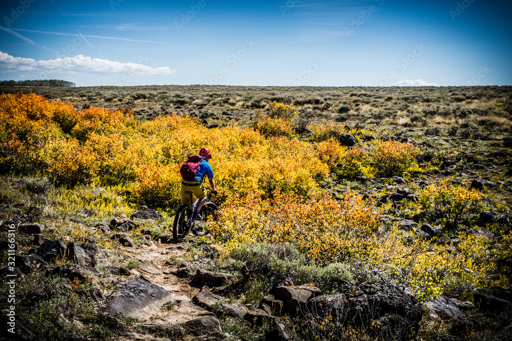 Obraz premium mountain biking a fall landscape